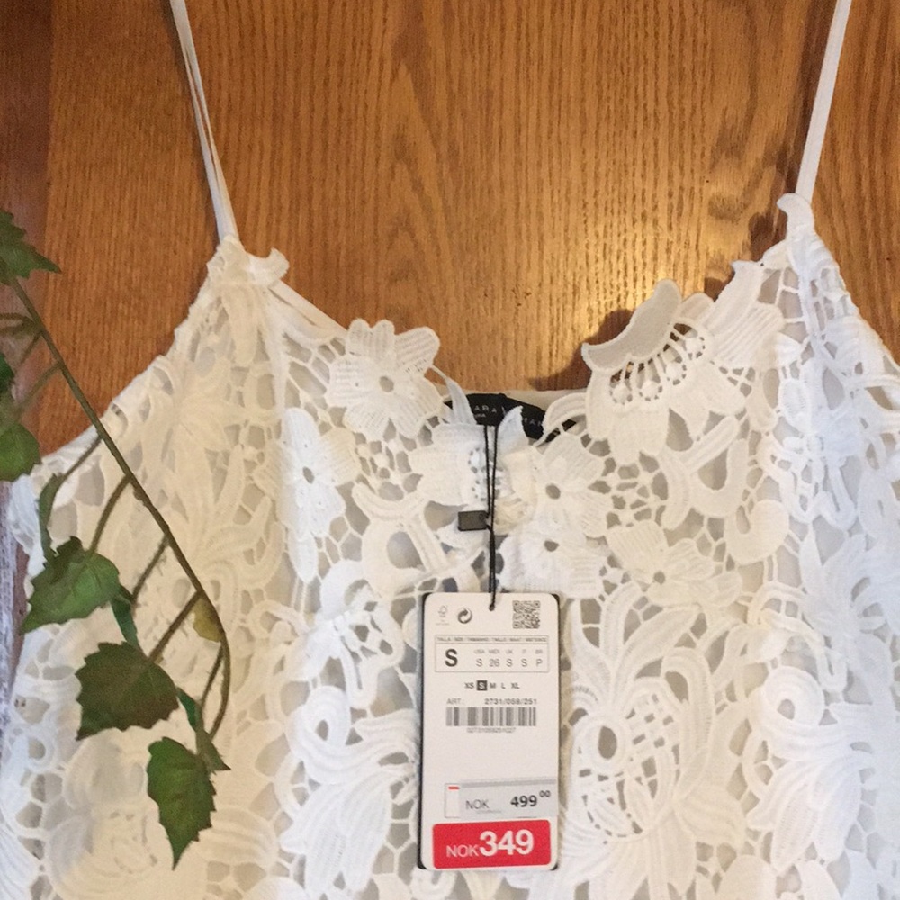 🌵🌹Gorgeous NWT Dress by Zara  size small - Picture 7 of 8